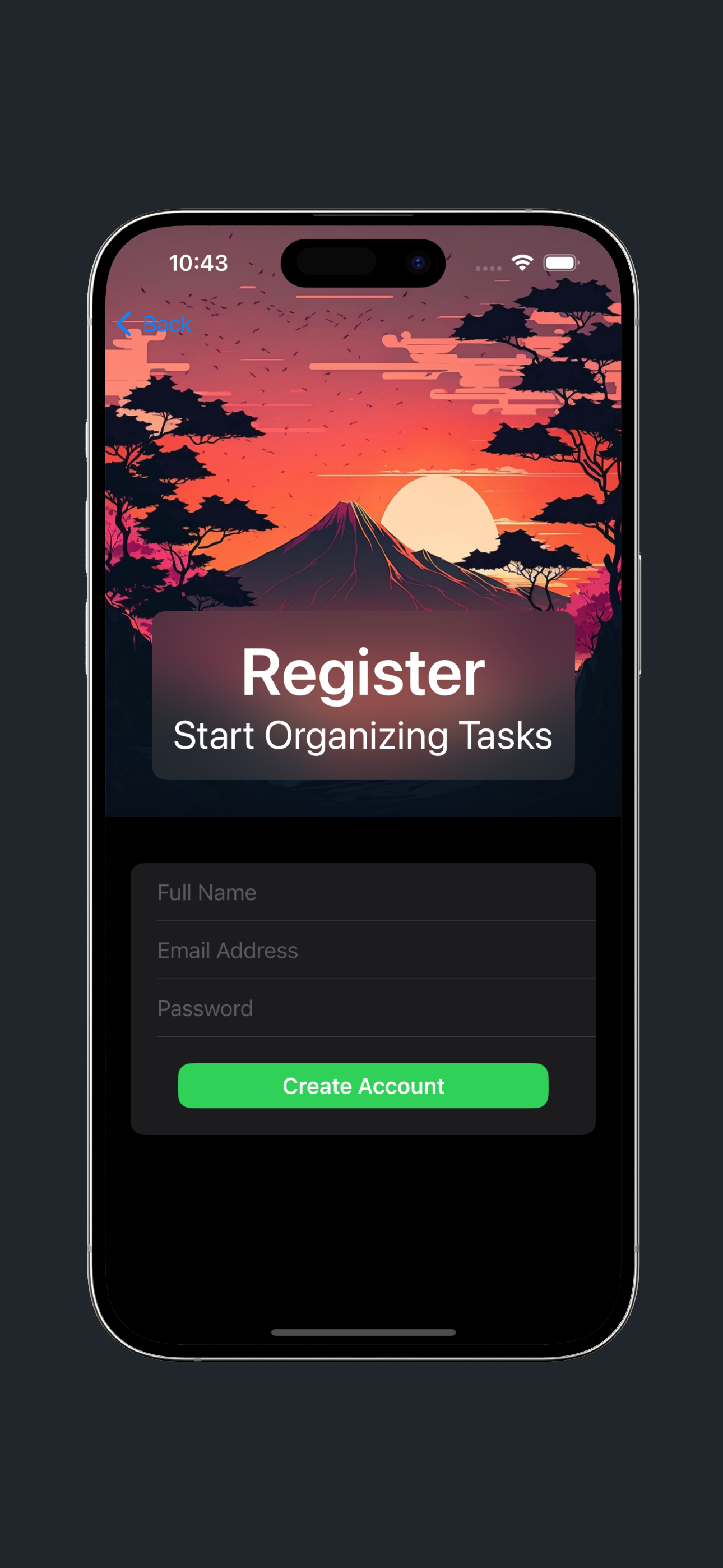 Project screenshot 2
